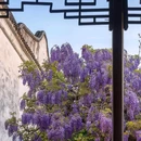 网师园 - 苏州市旅游 缩略图 5