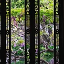 网师园 - 苏州市旅游 缩略图 7