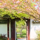 杭州西湖风景名胜区-文澜阁 - 杭州市旅游 缩略图 3