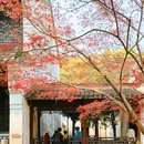 杭州西湖风景名胜区-文澜阁 - 杭州市旅游 缩略图 5