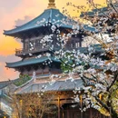 嘉兴南站 - 嘉兴市旅游 缩略图 2