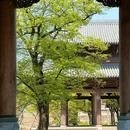 嘉兴南站 - 嘉兴市旅游 缩略图 5