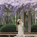 青山公园 - 武汉市旅游 缩略图 7