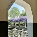 青山公园 - 武汉市旅游 缩略图 6