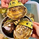 老陈富贵海鲜火锅 - 丹东市旅游 缩略图 1
