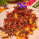 犇六儿·酒肉熏作(朝外店) - 北京市旅游 缩略图 3