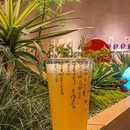 犇六儿·酒肉熏作(朝外店) - 北京市旅游 缩略图 7