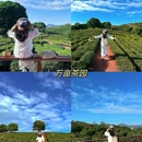小洞村老屋 - 惠州旅游 缩略图 7