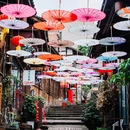 赤水竹海国家森林公园 - 遵义市旅游 缩略图 3