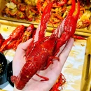 呛口龙虾(颖州府店) - 阜阳市旅游 缩略图 8