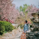 圆明园遗址公园 - 北京市旅游 缩略图 9
