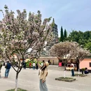 龙兴寺藏经楼 - 成都旅游 缩略图 4