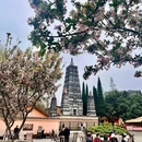 龙兴寺藏经楼 - 成都旅游 缩略图 3