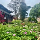 龙兴寺藏经楼 - 成都旅游 缩略图 7