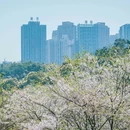 重庆园博园 - 重庆市旅游 缩略图 3
