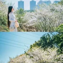重庆园博园 - 重庆市旅游 缩略图 5