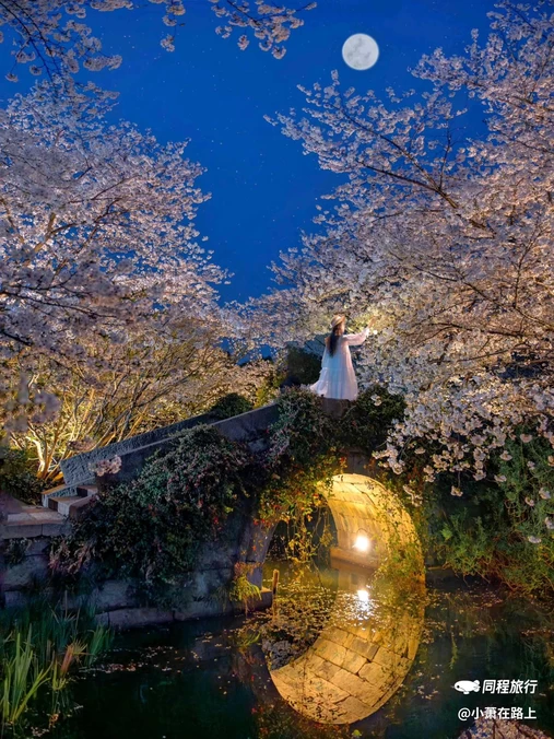 杭州花港观鱼 - 杭州市旅游