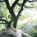 中山公园 - 佛山市旅游 缩略图 1