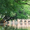 中山公园 - 佛山市旅游 缩略图 6