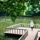中山公园 - 佛山市旅游 缩略图 7