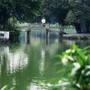 中山公园 - 佛山市旅游 缩略图 8