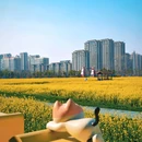 青年创意田园 - 合肥市旅游 缩略图 3