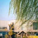 青年创意田园 - 合肥市旅游 缩略图 8