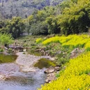 蔡湾村1组3号 - 成都市旅游 缩略图 2