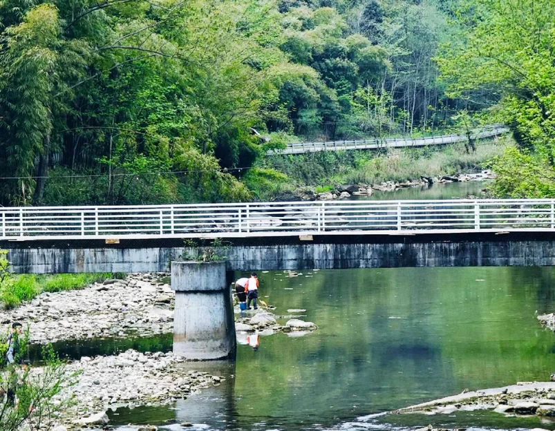 蔡湾村1组3号 - 成都市旅游 1