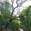 蔡湾村1组3号 - 成都市旅游 缩略图 4