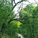 蔡湾村1组3号 - 成都市旅游 缩略图 7