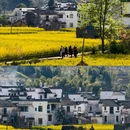 庆源古村 - 上饶市旅游 缩略图 1