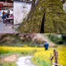 庆源古村 - 上饶市旅游 缩略图 6