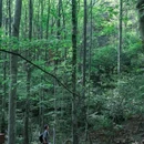 磨山景区-楚城 - 武汉市旅游 缩略图 4