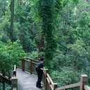 磨山景区-楚城 - 武汉市旅游 缩略图 1