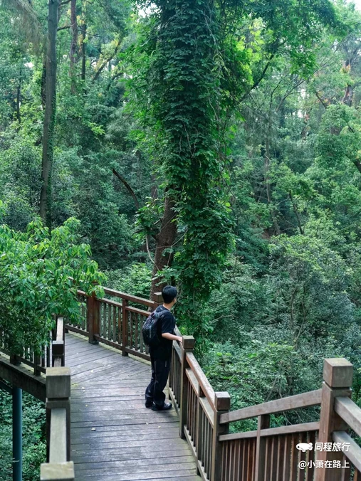 磨山景区-楚城 - 武汉市旅游