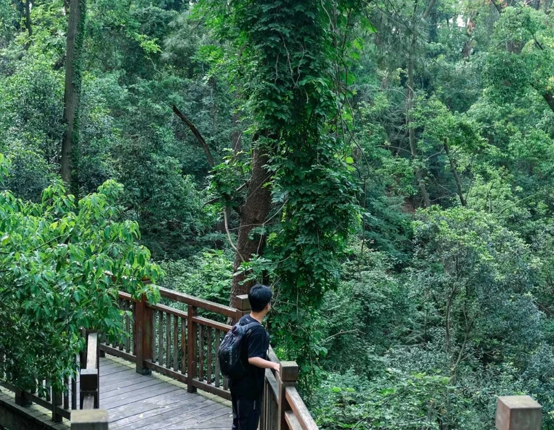 磨山景区-楚城 - 武汉市旅游 1