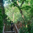 磨山景区-楚城 - 武汉市旅游 缩略图 3