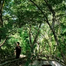 磨山景区-楚城 - 武汉市旅游 缩略图 2