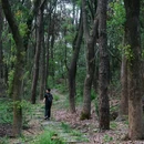 磨山景区-楚城 - 武汉市旅游 缩略图 5