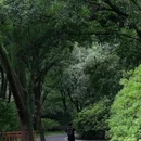 磨山景区-楚城 - 武汉市旅游 缩略图 8