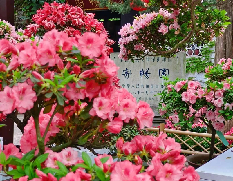 锡惠公园 - 无锡市旅游 1