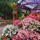 锡惠公园 - 无锡市旅游 缩略图 9