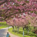 西安世博园自然馆 - 西安市旅游 缩略图 6