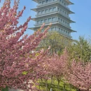 西安世博园自然馆 - 西安市旅游 缩略图 8