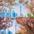 北外滩滨江绿地 - 上海市旅游 缩略图 3