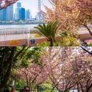 北外滩滨江绿地 - 上海市旅游 缩略图 1