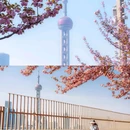 北外滩滨江绿地 - 上海市旅游 缩略图 4