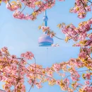 北外滩滨江绿地 - 上海市旅游 缩略图 8