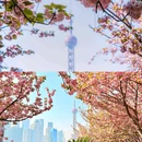 北外滩滨江绿地 - 上海市旅游 缩略图 7